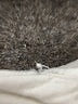 Drew Gray Black Short Sleeve Top Size S - photo 8