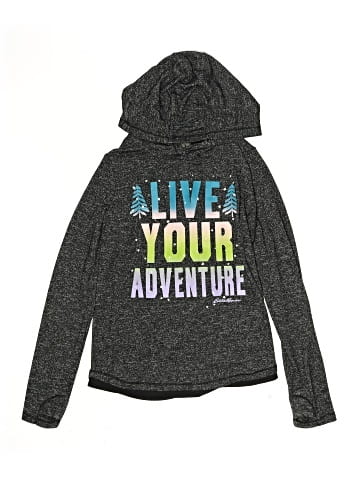 Eddie Bauer Pullover Hoodie (view 1)