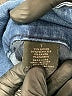 Tinseltown Blue Denim Shorts Size 7 - photo 4
