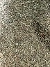 Wilfred Solid Black Casual Skirt Size XS - photo 5