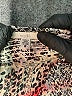 Ecote Animal Print Gold Casual Pants Size S - photo 7