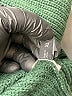 Zaful Green Turtleneck Sweater Size XL - photo 8