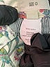 Madewell 100% Cotton Floral Ivory Shorts Size 0 - photo 5