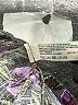 fat face 100% Viscose Floral Purple Shorts Size 10 - photo 4