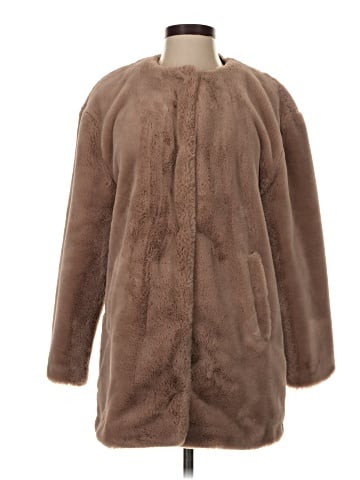 Zara TRF Coat (view 1)