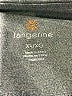 Tangerine Color Block Teal Active Pants Size XL - photo 4