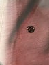 Lululemon Athletica Gray Turtleneck Sweater Size 2X (estimated) - photo 6