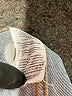Madewell Blue Jeans Size 30 waist - photo 7