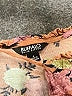 Buffalo by David Bitton Floral Pink Short Sleeve Blouse Size S - photo 7