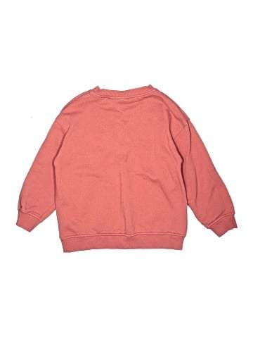 Zara Sweatshirt (view 2)