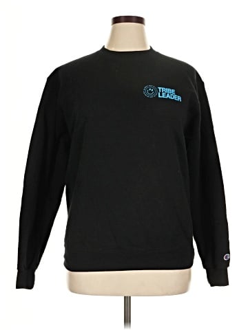 Champion Sweatshirt (view 1)