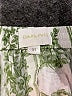 Darling Paisley Green Shorts Size XL - photo 3