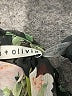 Alice + Olivia 100% Polyester Black 3/4 Sleeve Blouse Size S - photo 8
