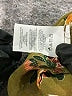 CAbi 100% Polyester Green Sleeveless Blouse Size L - photo 8