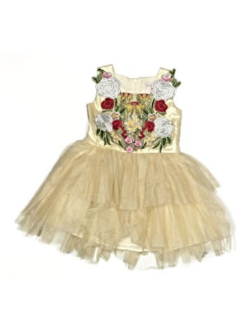 Halabaloo Dress (view 1)