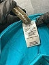 Tommy Bahama Solid Teal One Piece Swimsuit Size 14 - photo 3