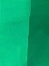 Maaji Tropical Green Swimsuit Bottoms Size XS (estimated) - photo 3