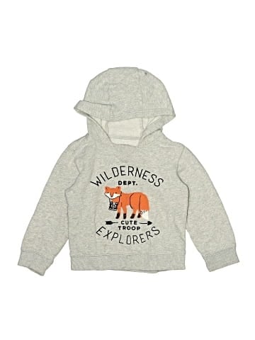 Carter's Pullover Hoodie (view 1)