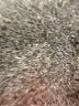 BCBGMAXAZRIA 100% Polyester Paisley Gray Cocktail Dress Size 8 - photo 7