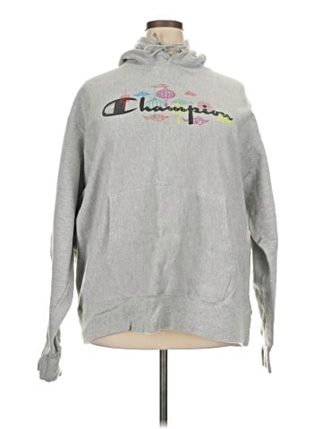 Champion Pullover Hoodie (view 1)