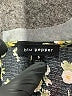 Blu Pepper Black Short Sleeve Blouse Size S - photo 7