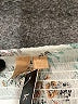 Evolutionary Paisley White Cocktail Dress Size M - photo 7