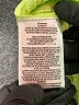 BCBGeneration Solid Green Casual Skirt Size M - photo 5
