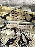 Pink Stitch 100% Polyester Paisley Ivory Cocktail Dress Size 8 - photo 7