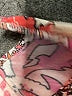 Conditions Apply Pink Short Sleeve Blouse Size M - photo 8