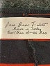 Zara Basic Brown 3/4 Sleeve T-Shirt Size S - photo 7
