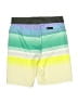 Quiksilver 100% Polyester Green Board Shorts Size 14 - photo 2