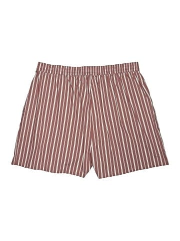 Steve Madden Shorts (view 2)