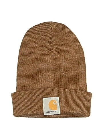Carhartt Beanie (view 1)