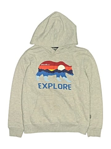 Eddie Bauer Pullover Hoodie (view 1)