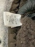 SONOMA life + style 100% Polyester Brown Vest Size XL - photo 7
