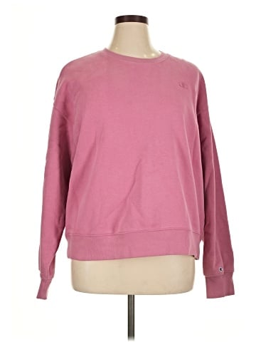 Champion Sweatshirt (view 1)