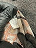 Always Print Brown Leggings One size - photo 8