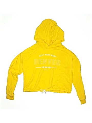 H&M Pullover Hoodie (view 1)