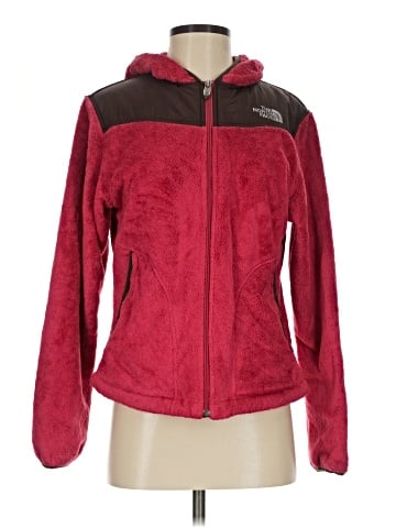 The North Face Fleece (view 1)