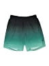Assorted Brands Color Block Green Athletic Shorts Size 28 waist (estimated) - photo 1