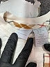 Tahari Ivory White Long Sleeve Henley 18-24 MO / 24 MO - photo 3