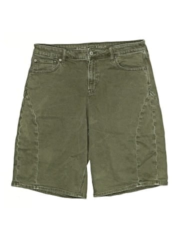 American Eagle Outfitters Khaki Shorts (view 1)