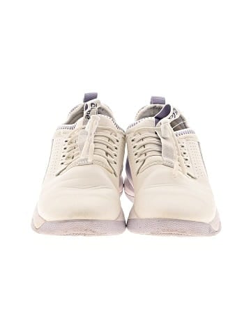Clove Sneakers (view 2)