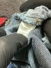 TGLA Blue Jeans Size 25 waist - photo 8
