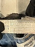 Forever 21 100% Cotton Stripes Blue Denim Shorts Size 28 waist - photo 4