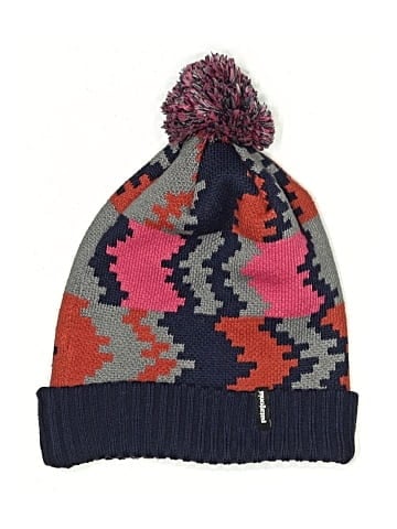 Patagonia Beanie (view 1)