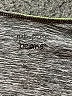 Jumping Beans Gray Active T-Shirt Size 6 - photo 3