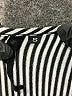 Assorted Brands Stripes Gray Casual Dress Size S - photo 7