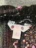 Three Dots Paisley Black Shorts Size L - photo 3