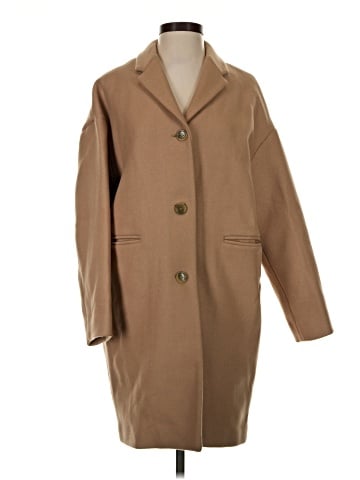 Everlane Wool Coat (view 1)